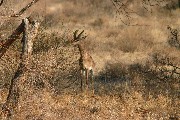 IMG_2632.jpg