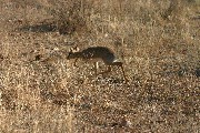IMG_2634.jpg