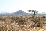IMG_2637.jpg