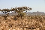 IMG_2639.jpg