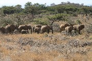 IMG_2647.jpg