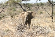 IMG_2649.jpg