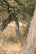 IMG_2652.jpg