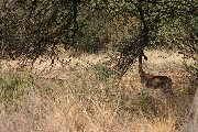 IMG_2653.jpg