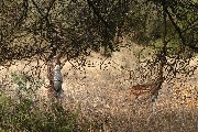 IMG_2654.jpg