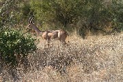 IMG_2655.jpg