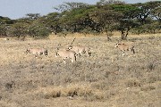 IMG_2661.jpg