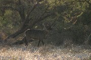 IMG_2662.jpg