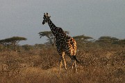 IMG_2664.jpg
