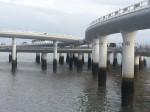 20190704_175652.jpg