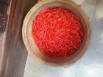 20190710_160055.jpg